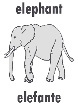flashcard with a cute picture of an elephant