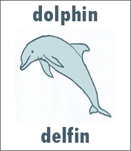 Dolphin Flashcard - Spanish Animals Delfin