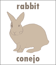 hand drawn picture of a rabbit for a Spanish flashcard