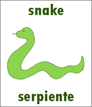 Snake Flashcard - Spanish Animals