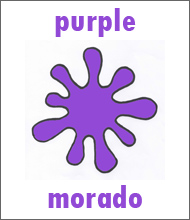 Color Purple Flashcard - Spanish Colors