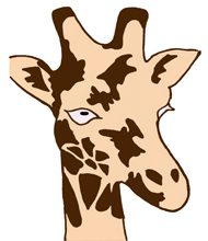 picture of a giraffe's head