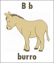 Letter B Flashcard from the Spanish Alphabet