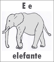 Picture of an elephant representing letter e