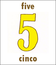 Number 5 Flashcard - Spanish Numbers
